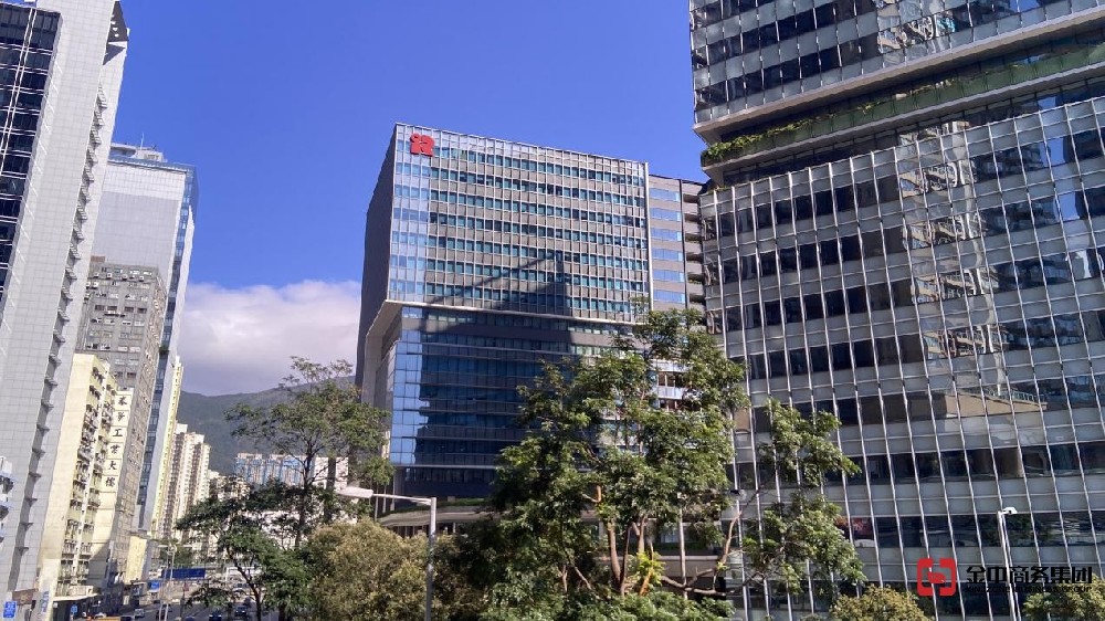 香港公司審計中的審計意見代表什么？